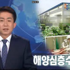 춘천 MBC뉴스