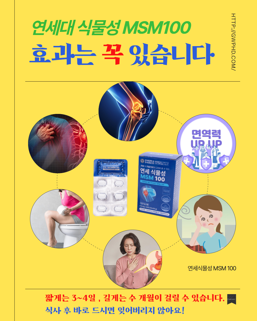 연세MSM_1